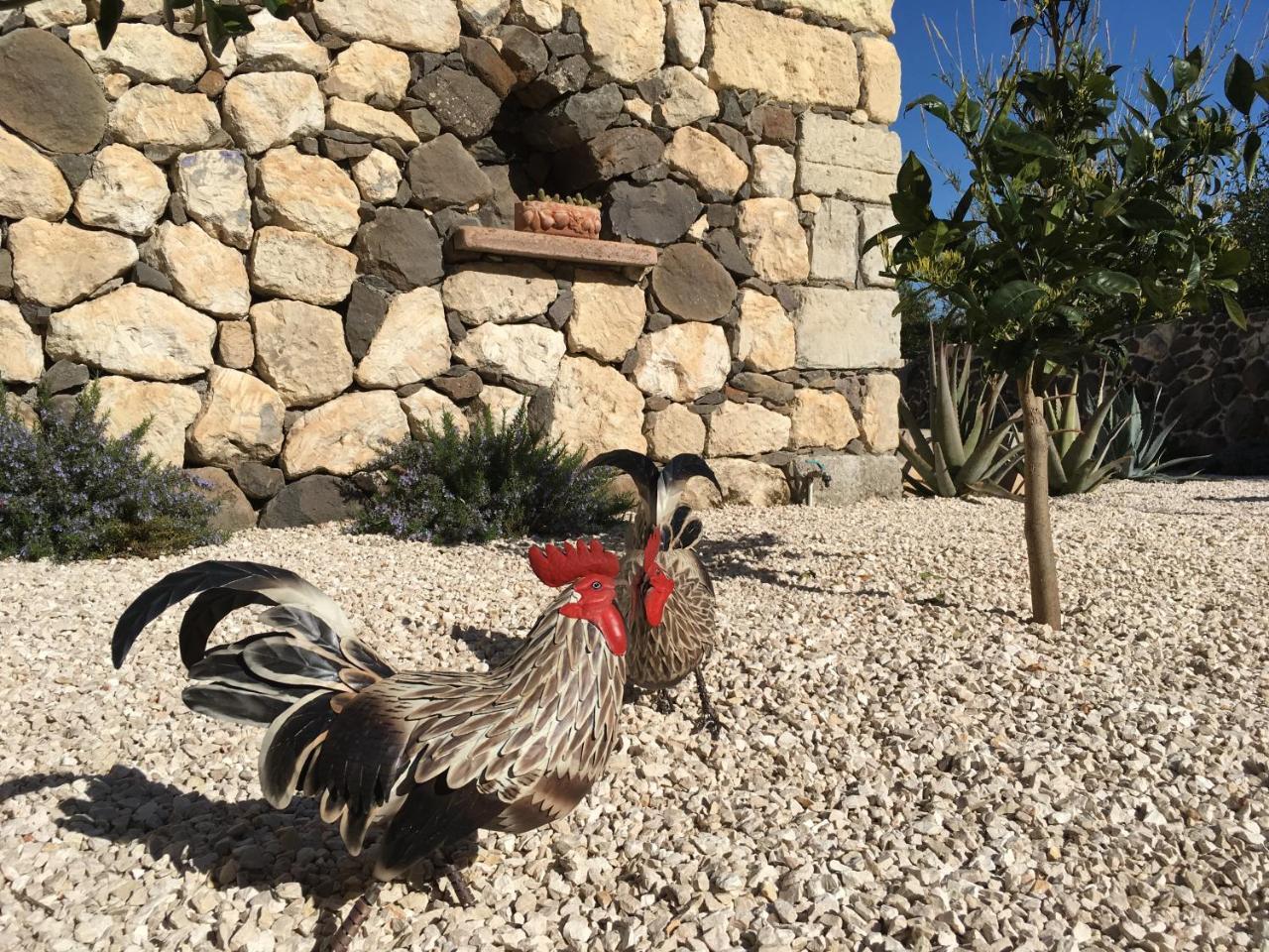 La Petite Maison Tresnuraghes Εξωτερικό φωτογραφία